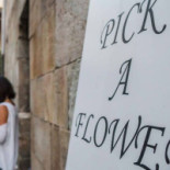 Pick A Flower Food
