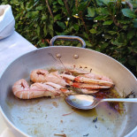 Lido Celommi food