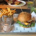 Shelter Comida