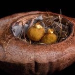 Casa Perrotta food