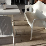 Ray Gelato À l'intérieur