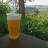 White Dog Beer Comida