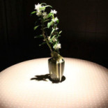 Taverna San Pietro inside