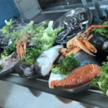 Hippocampus Comida