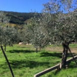 Agriturismo Massoserpente outside