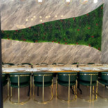 Sukai Sushi Comida