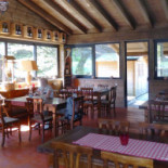 Il Galletto Della Puppola