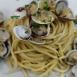 Cassiopea Comida
