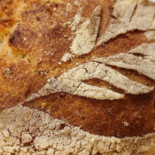 Briciole Di Pane Nourriture