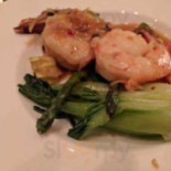 8 Cibo