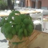 Il Basilico Nourriture