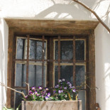 Kinig Hof Exterior