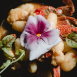 Casina Copini Spolium Comida