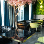 Emotion Cafe Dentro