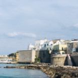 Maestrale Nourriture
