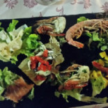 Orocolato Comida