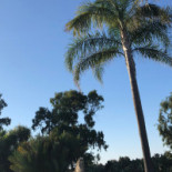 Tenuta Badessa À l'intérieur
