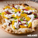Milano Pizza Drinks Comida