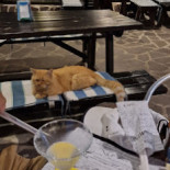 Il Piccolo Pincio Comida