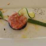Tortuga Nourriture