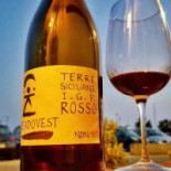 Baccanale Natural Wine Comida