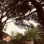 Sesima Outside