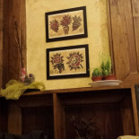 Viecce À l'intérieur