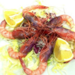 Gusto Comida