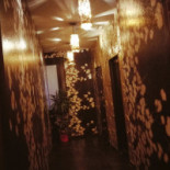 Hashi À l'intérieur