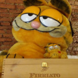 Garfield Nourriture