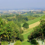 Villa Di La' Nourriture