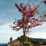 Osteria Vigna Comida