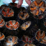 La Petronilla Nourriture
