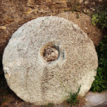 Pinocchio Comida