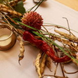 Bohemian Comida