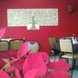 Caffe Zilester Nourriture