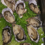 Pizzeria L'orchidea Nourriture