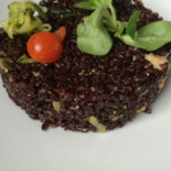 New's Comida