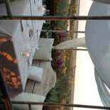 Osteria L'oliveta