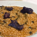 Congusto Food