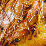 Pappatoria Cibo