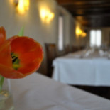 La Taverna Dentro