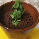 Locanda Del Maniscalco food