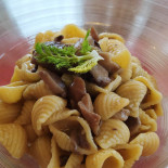 Agristube Comida