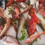 Pescheria Chitarra Fish Nourriture