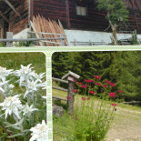 Pertinger Alm Exterior
