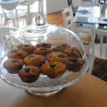 Dicocibo Cibo