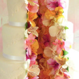 Cake Studio Dolci Creativi Nourriture