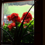 Ignazstube À l'intérieur