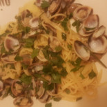 Il Micio Comida